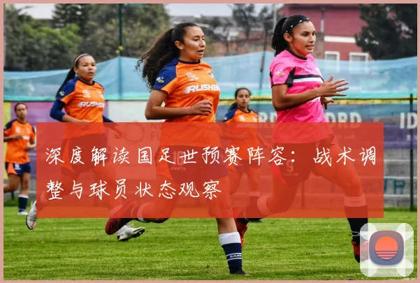 深度解读国足世预赛阵容：战术调整与球员状态观察
